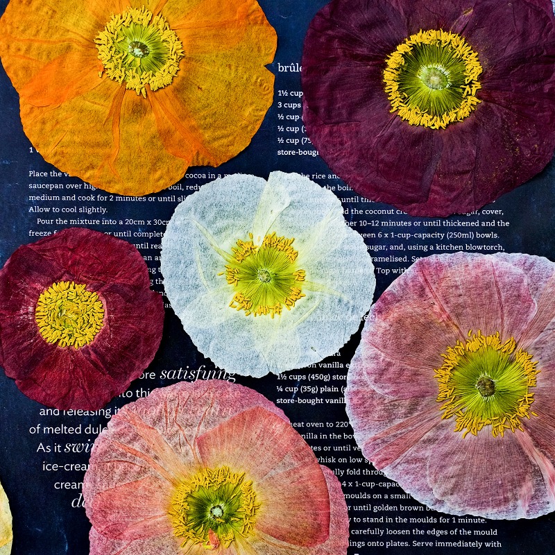 Resin Art Mold - 1 pièce, Fleurs de pavot de