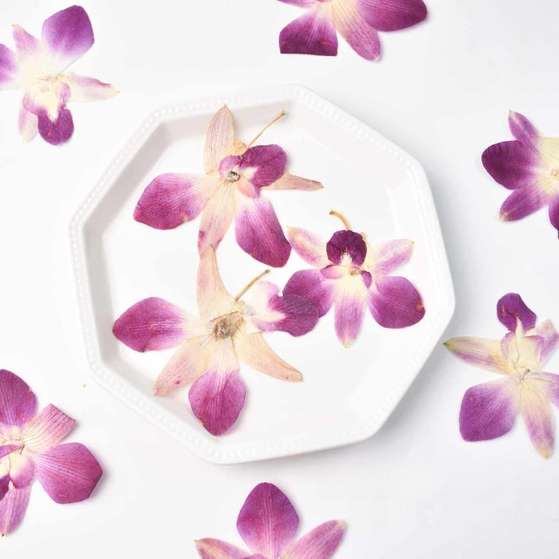 Resin Art Baby - 4 pièces, véritables fleurs d'orchidée papillon