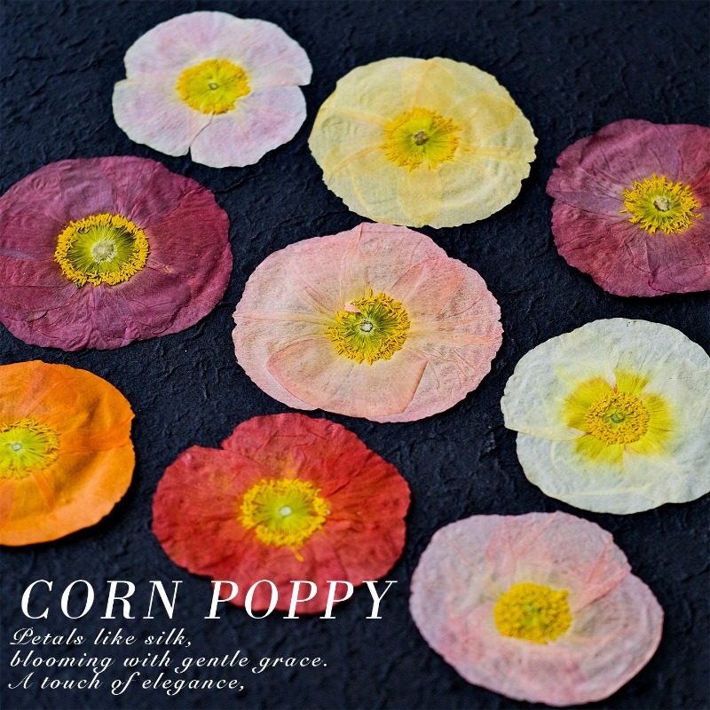 1 pièce, Fleurs de pavot de ca - Resin Art Mold avis et prix