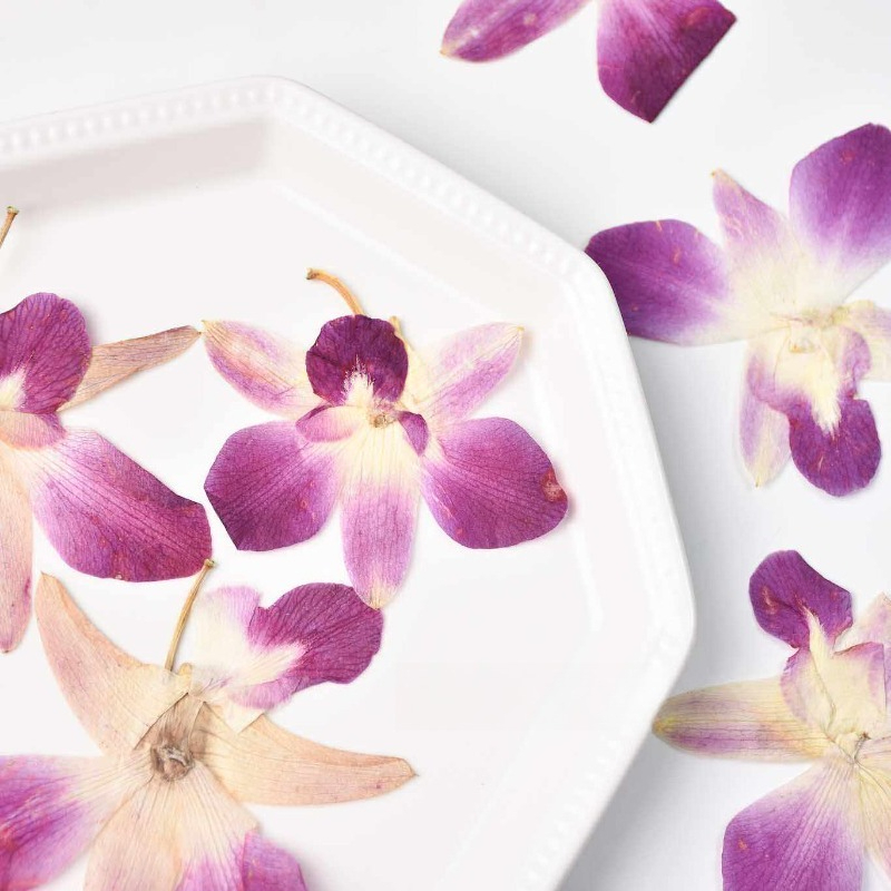 4 pièces, véritables fleurs d' - Resin Art Baby avis et prix