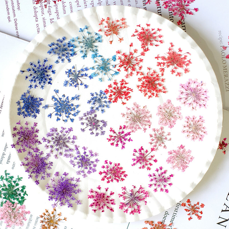 24 pièces, 2-2,5 cm, mini péta - Resin Art Baby avis et prix