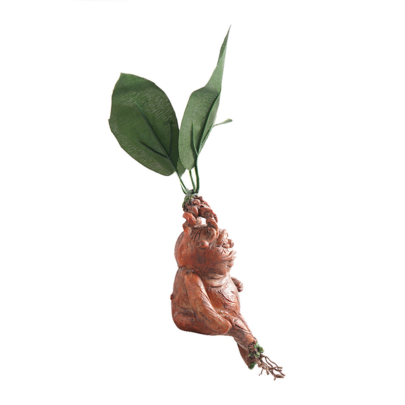 Statue en résine d'herbe de ma - Resin Art Gift For Anniversary avis et prix